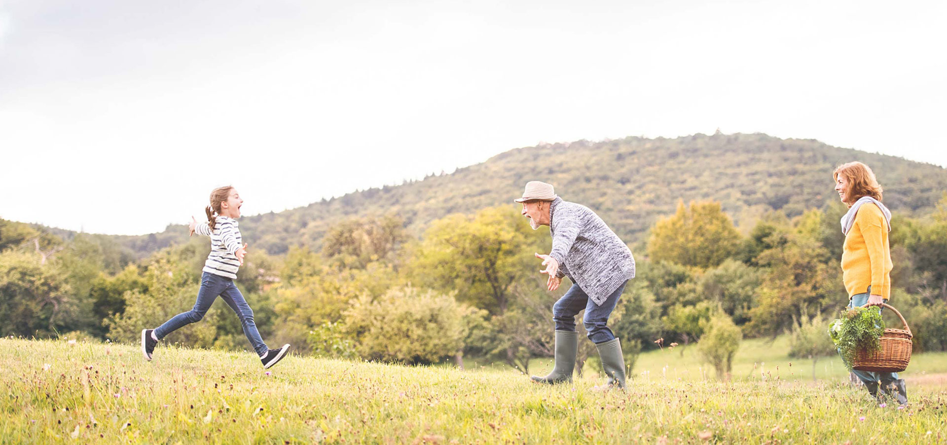 شرکت توان تجهیز جاوید